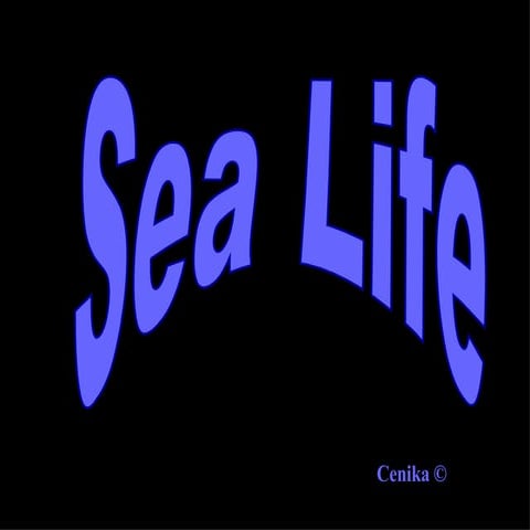 sea-life-ppt