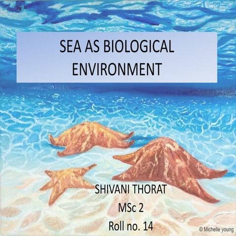 Sea as biological environment