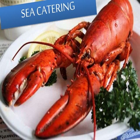 Sea catering