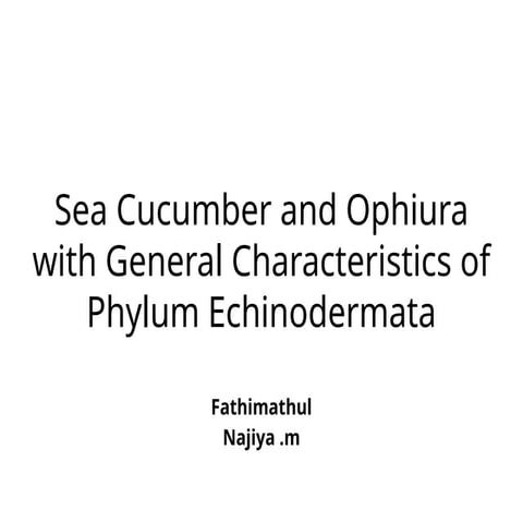 Sea_Cucumber_and_Ophiura_Presentation.pptx.pptx