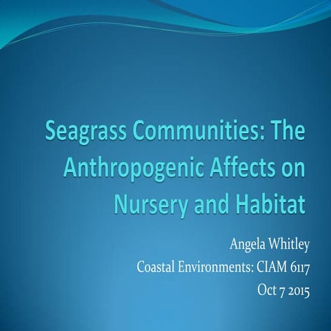 Seagrass Communities: The Anthropogenic Affects on Nursery and Habitat 