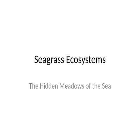 Seagrass_Ecosystems_Presentation.  .pptx