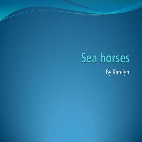 Sea Horses