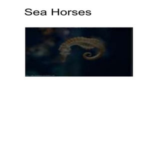 Sea horses