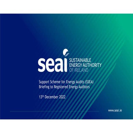 SEAI Support Scheme Energy Audits - Briefing
