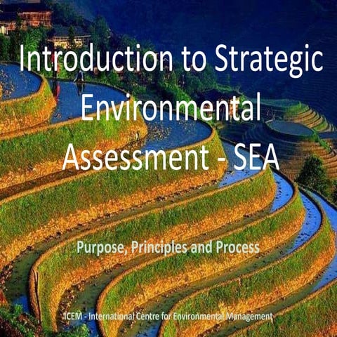 Introduction to Strategic Environmental Assessment 