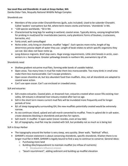 Sea level rise and shorebirds grays harbor national wildlife refuge