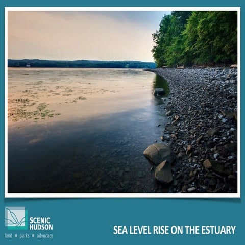 Sea level rise science