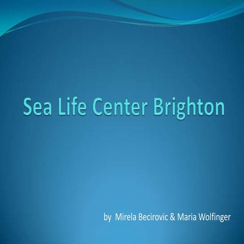 Sea Life Center Brighton London