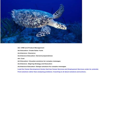 Seamless Integration Docx