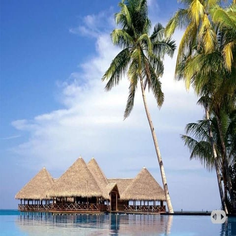 Sean dream trips pres 2015 platgold