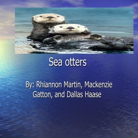 Sea Otters