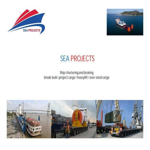 TPI MegaLine Brochure | PDF