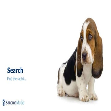 Search Basics | PPT
