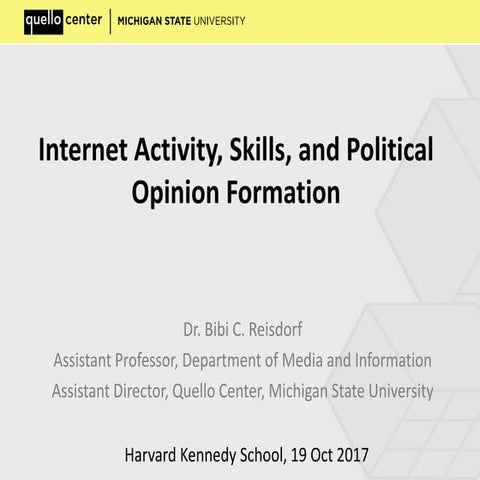 Internet Activity, Skills, and Political Opinion Formation