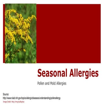 Seasonal Allergies