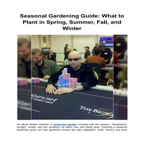 Seasonal Gardening Guide_ What to Plant in Spring, Summer, Fall, and ...