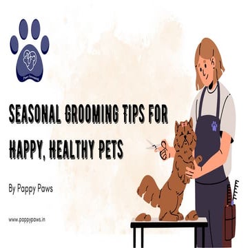 Pet care tips for summers | PDF