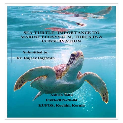 Threat of sea turtle Rajeev raghavan Kufos kerala 