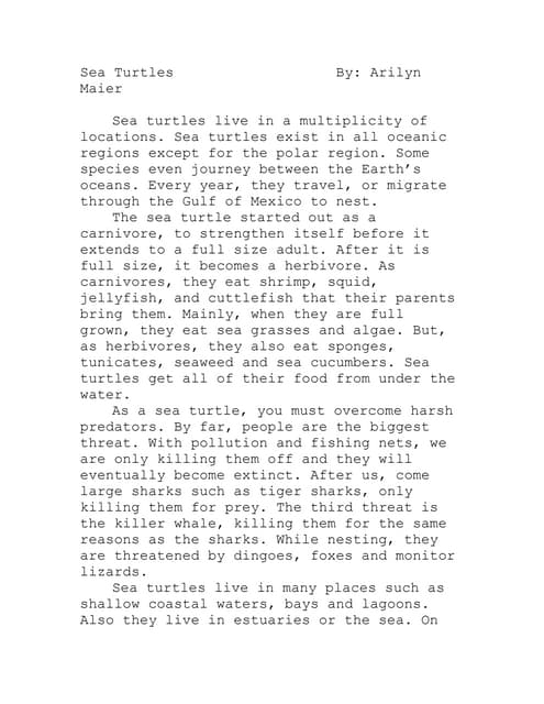 Sea Turtle Fact Sheet | DOC