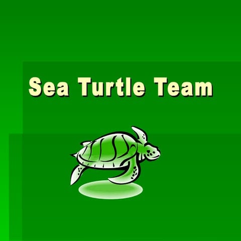 Sea Turtle Team Presentation For Web