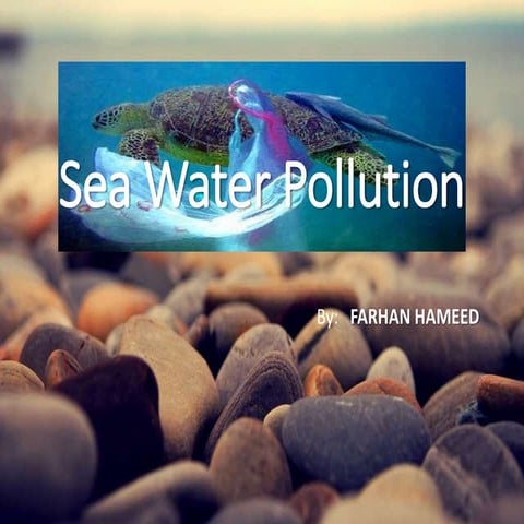 Sea water pollution