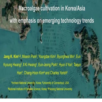 Seaweed imp for food and medicine imp for research .pptx