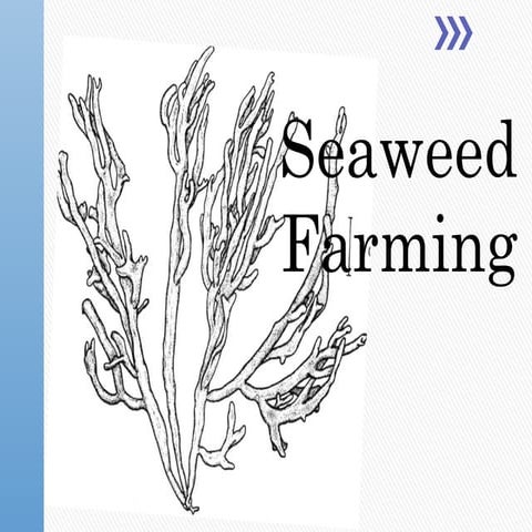 Sea weeds.pptx commercial and medicinal uses