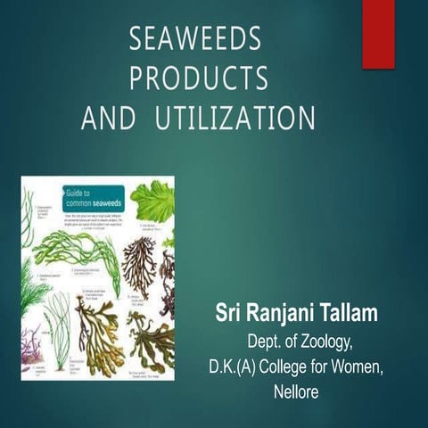 Seaweeds products 