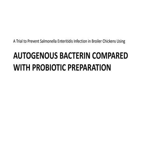 Avian Salmonella Inactivated Vaccine Against Probiotics