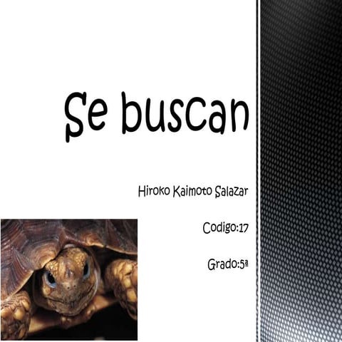 Se buscan | PPTX