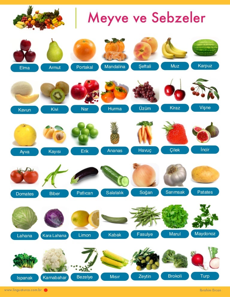 Frutas e Legumes em Turco Fruits and Vegetables in Turkish