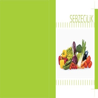Sebzeci̇li̇k