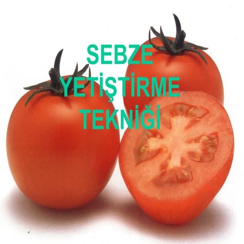 Sebze Yetiştirme Tekniği