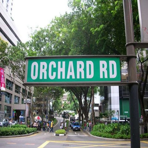 orchard