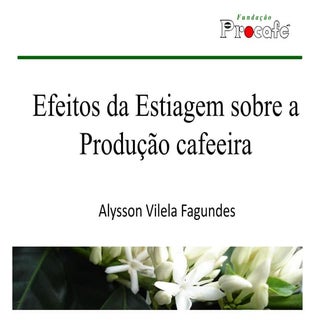 Efeitos da Estiagem sobre a Produçã...