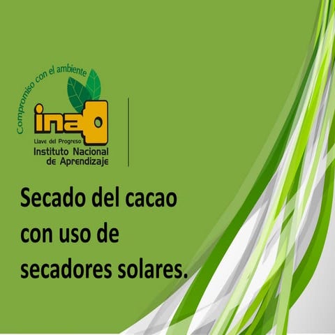 Secado del cacao..pdf