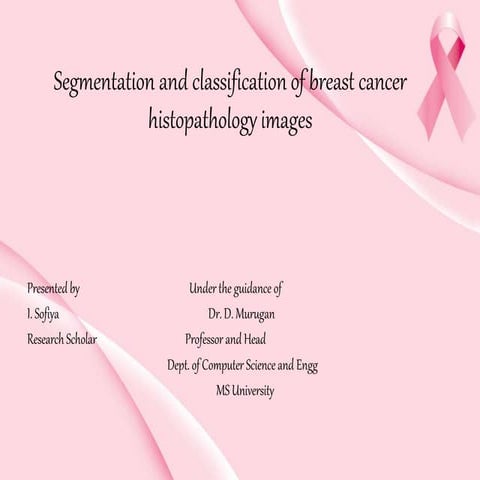 Lec14: Evaluation Framework for Medical Image Segmentation | PDF