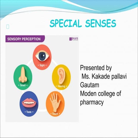 Secial senses (1)