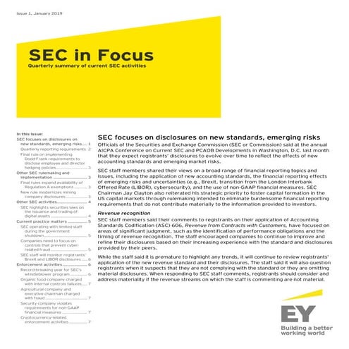 SEC in Focus - January 2019