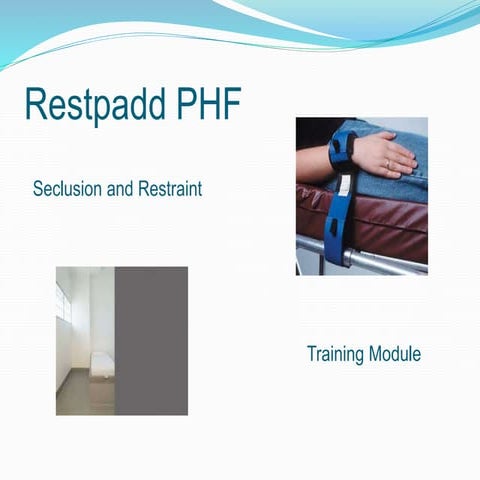 Seclusion and restraint training module