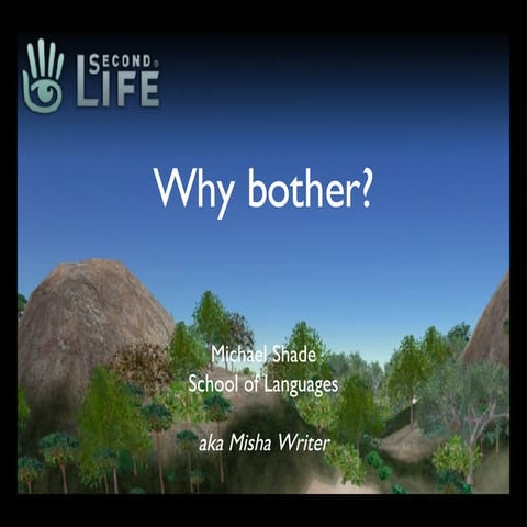 Second Life - why bother?