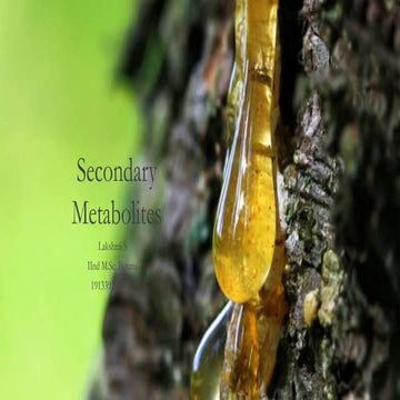 Secondary Metabolits