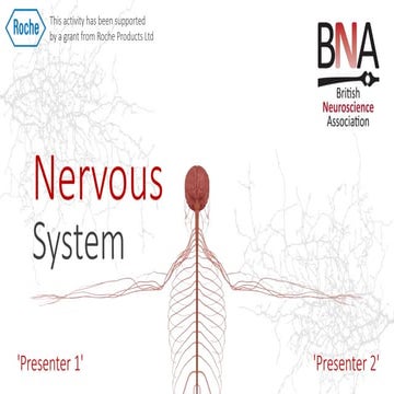 Secondary_-_Nervous_System_PPT.pptx
