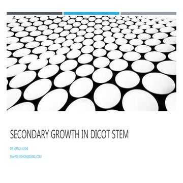 Secondary growth in dicot stem