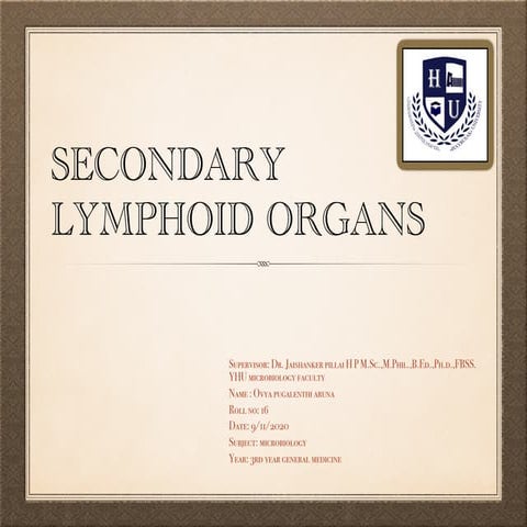 Secondary lymphoid organs 