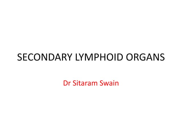 SECONDARY LYMPHOID ORGANS.pdf