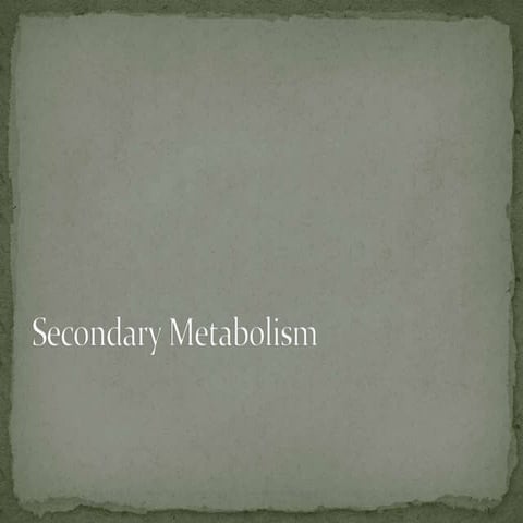 Secondary metabolism of Fungi