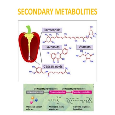 SECONDARY METABOLITIES PHARMACOGNOSY.pptx