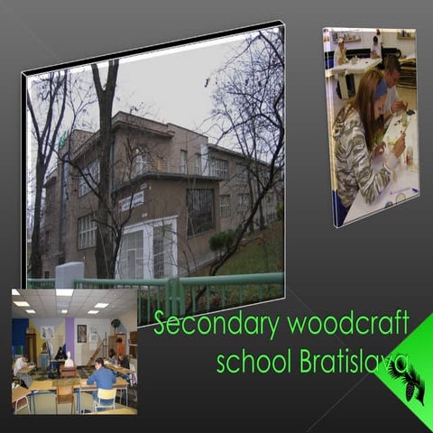 Secondary woodcraft school 1